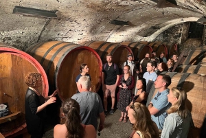 Firenze: Montepulciano&Chianti in 1 giorno + Pranzo & Trasferimento
