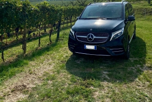 Firenze: Montepulciano&Chianti in 1 giorno + Pranzo & Trasferimento