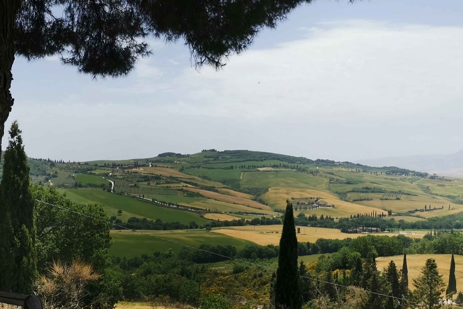 Florence: Montepulciano, Pienza, & Montalcino Private Trip