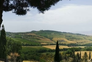 Florence: Montepulciano, Pienza, & Montalcino Private Trip