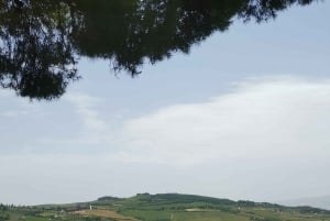 Florence: Montepulciano, Pienza, & Montalcino Private Trip