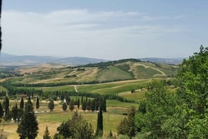 Florence: Montepulciano, Pienza, & Montalcino Private Trip