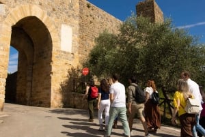 Firenze: Monteriggioni & Val d'Orcia Valgfri vinsmaking