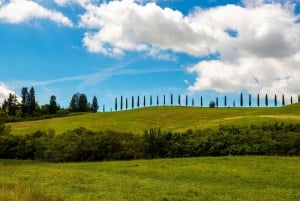 Firenze: Monteriggioni & Val d'Orcia Valgfri vinsmaking