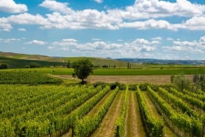 Firenze: Monteriggioni & Val d'Orcia Valgfri vinsmaking