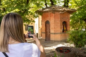 Firenze: Monteriggioni & Val d'Orcia Valgfri vinsmaking