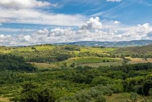 Firenze: Monteriggioni & Val d'Orcia Valgfri vinsmaking