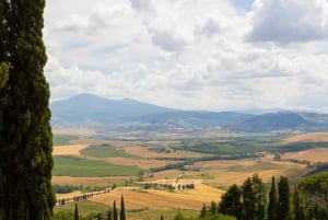 Firenze: Monteriggioni & Val d'Orcia Valgfri vinsmaking