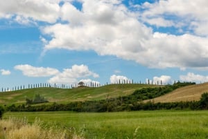 Firenze: Monteriggioni & Val d'Orcia Valgfri vinsmaking