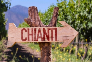 Florence: Morning Small group Chianti Wine Tasting escape