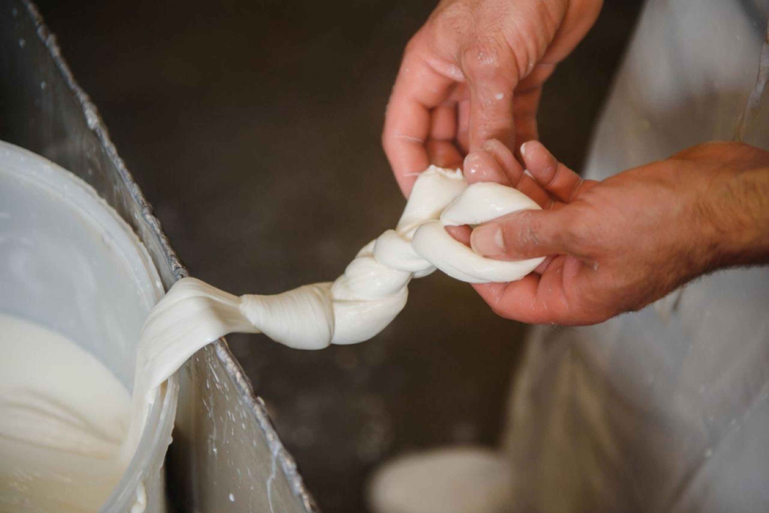 Firenze: Mozzarella-workshop med vinprøvesmagning