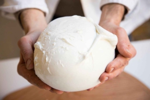 Firenze: Mozzarella-workshop med vinprøvesmagning