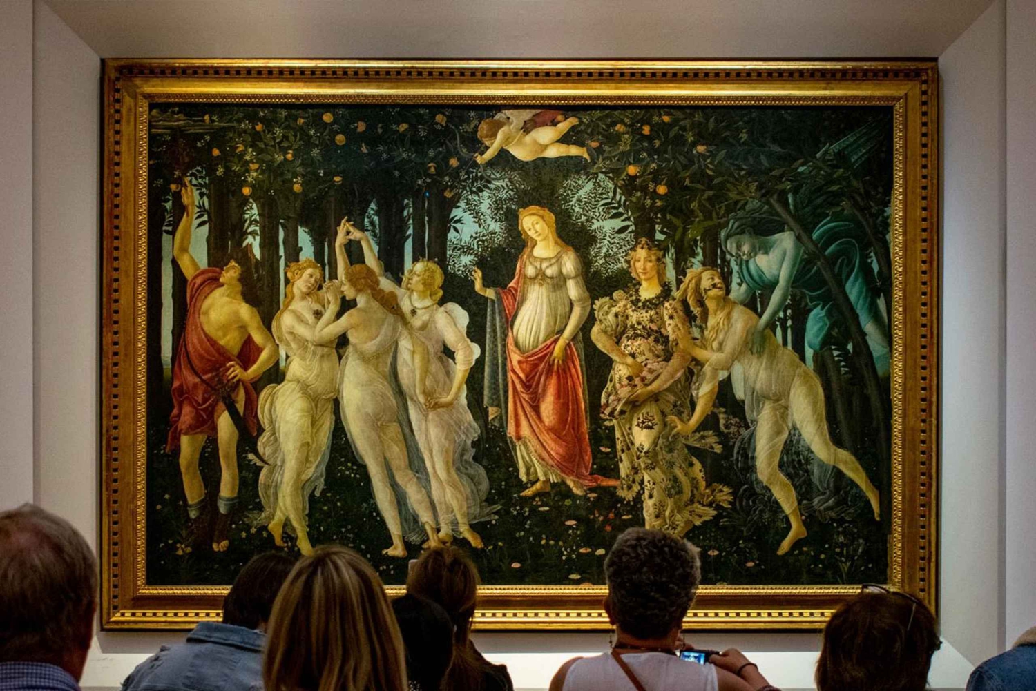 Florence: Museum Pass–David, Uffizi, Pitti Palace & Gardens