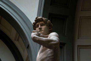 Florence: Museum Pass–David, Uffizi, Pitti Palace & Gardens