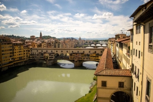 Florence: Museum Pass–David, Uffizi, Pitti Palace & Gardens