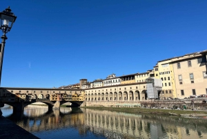 Florence: Museum Pass–David, Uffizi, Pitti Palace & Gardens