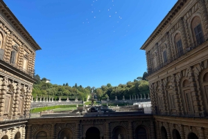 Florence: Museum Pass–David, Uffizi, Pitti Palace & Gardens