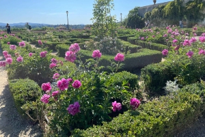 Florence: Museum Pass–David, Uffizi, Pitti Palace & Gardens