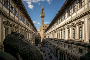 Florence: Museum Pass–David, Uffizi, Pitti Palace & Gardens