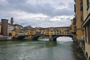 Fast Track Medici Chapel & Nova Sagrestia by Michelangelo