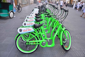 Florence: E-Bike Tour with Michelangelo Square