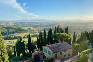 Florence or Bologna: 2 Cellar Tours in Chianti with Lunch