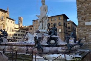 Firenze: Guidet rundvisning i Palazzo Vecchio