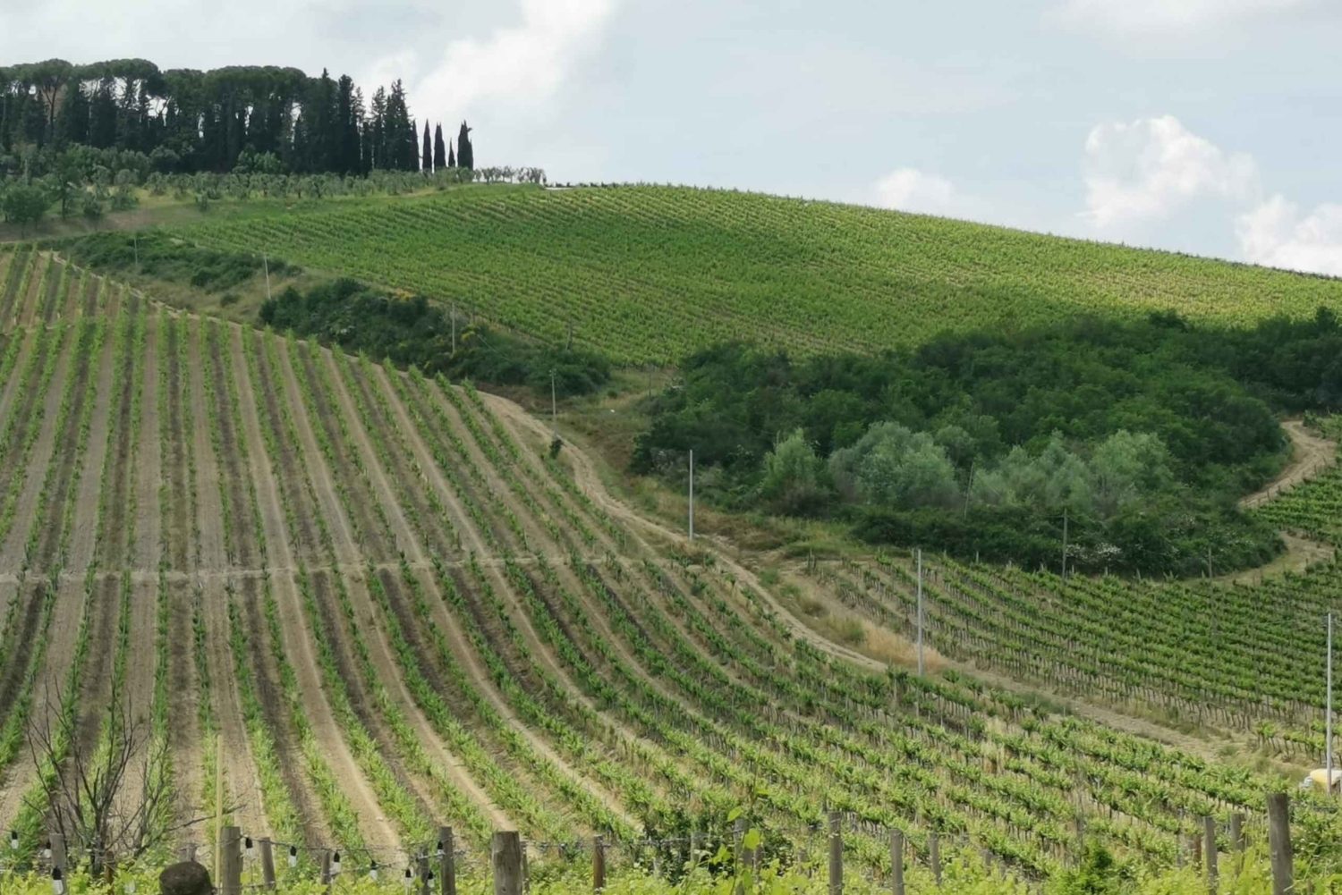 Florence : visite panoramique de Fiesole et de la place Michelangelo