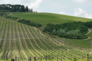 Florence : visite panoramique de Fiesole et de la place Michelangelo