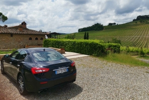 Florence : visite panoramique de Fiesole et de la place Michelangelo