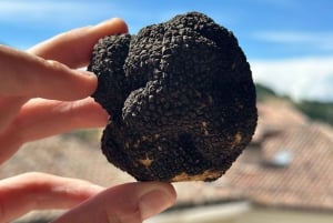 Pasta-Making & Truffle Class with Wine Included