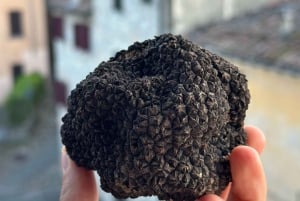 Pasta-Making & Truffle Class with Wine Included