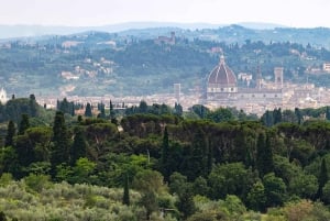 Florence: Piazzale Michelangelo and Fiesole Panoramic Tour