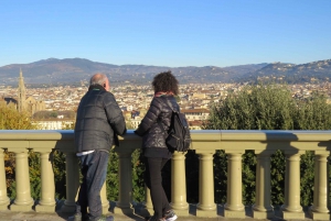 Florence: Piazzale Michelangelo Panoramic Tour by Minivan