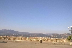 Florence: Piazzale Michelangelo Private Walking Tour
