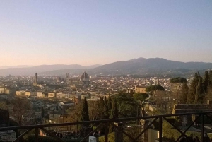 Florence: Piazzale Michelangelo Private Walking Tour