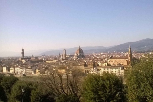 Florence: Piazzale Michelangelo Private Walking Tour