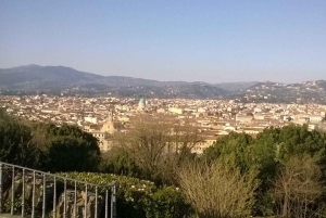 Florence: Piazzale Michelangelo Private Walking Tour