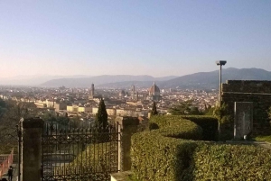 Florence: Piazzale Michelangelo Private Walking Tour