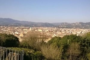 Florence: Piazzale Michelangelo Private Walking Tour