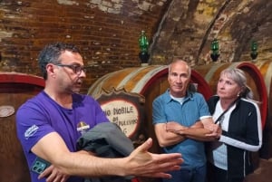 Florence: Pienza, Montepulciano, and Moltancino Day Trip