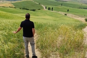 Florence: Pienza, Montepulciano, and Moltancino Day Trip