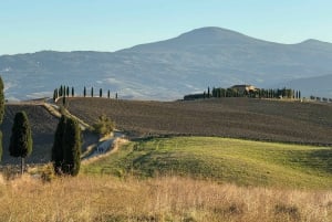 Florence: Pienza, Montepulciano, and Moltancino Day Trip