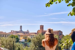 Florence: Pisa, Siena and San Gimignano Small Group Day Trip