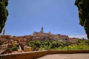 Florencja: jednodniowa wycieczka w małej grupie do Pizy, Sieny i San Gimignano