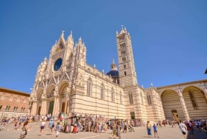Firenze: Dagstur for små grupper i Pisa, Siena og San Gimignano