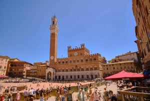 Florence: dagtrip met kleine groep naar Pisa, Siena en San Gimignano