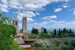Florence: Pisa, Siena, San Gimignano, and Chianti Experience
