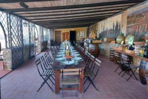 Florence: Pisa, Siena, San Gimignano, and Chianti Experience