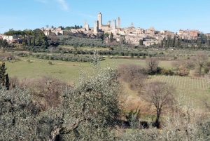 Florence: Pisa, Siena, San Gimignano, and Chianti Experience